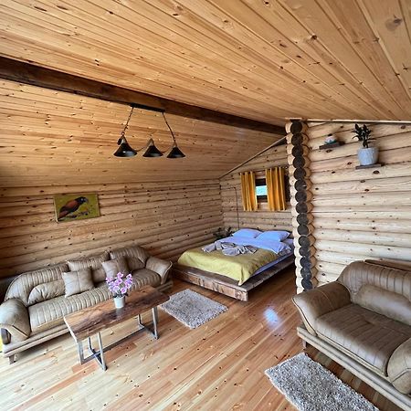 Alone Cottage Kazbegi Zewnętrze zdjęcie